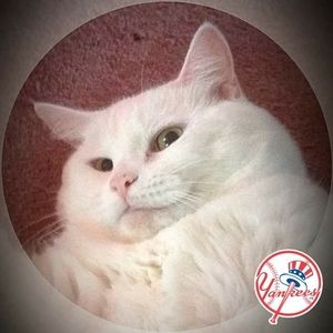 Meet your Posher, Cathie